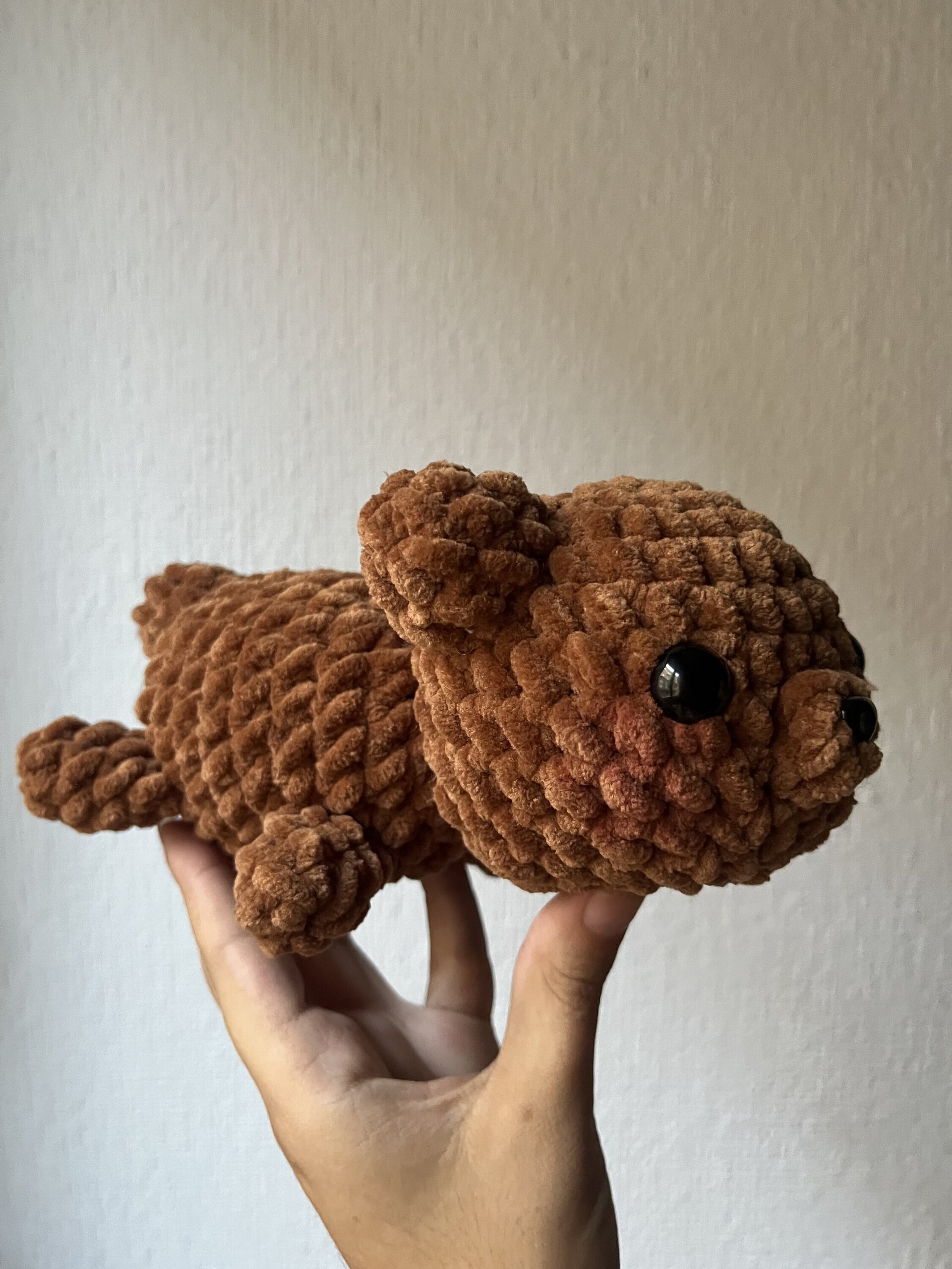 Animales dormilones - 6