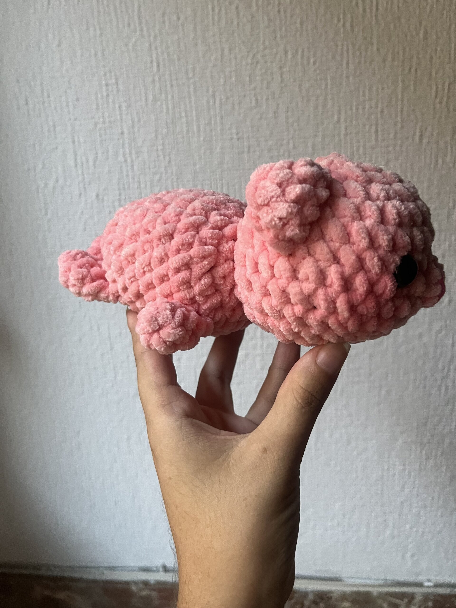Animales dormilones - 4