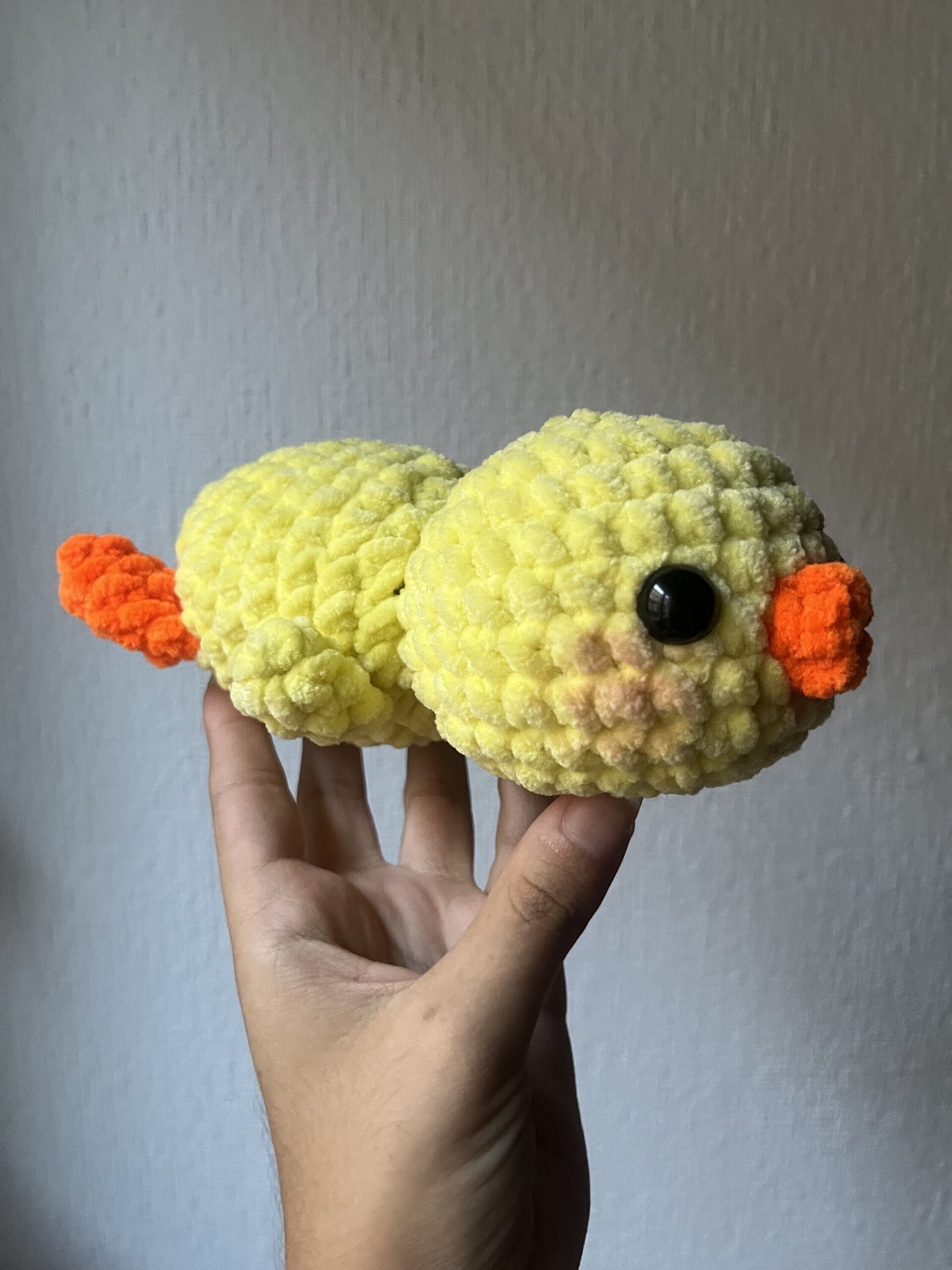 Animales dormilones - 10
